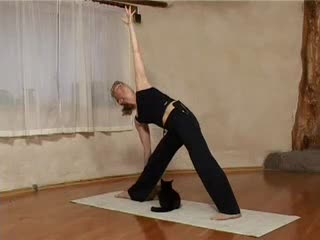 Cat Interrupts Exercise